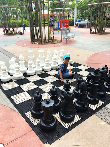 Chess Disney's Bay Lake Tower Orlando Florida Resales DVC